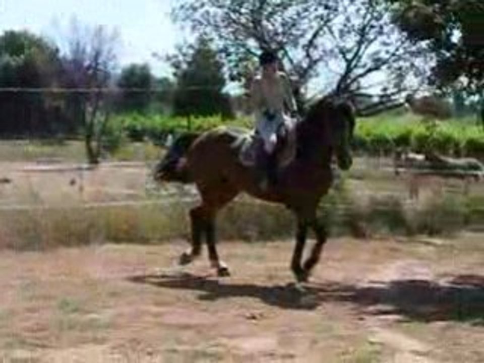 Lou au boulot