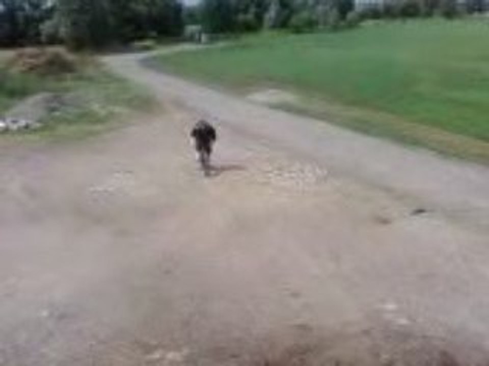 Vidéo0056