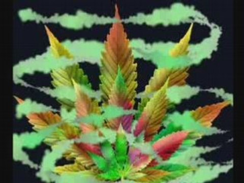 Krys Salsa riddim - remix dj bigga