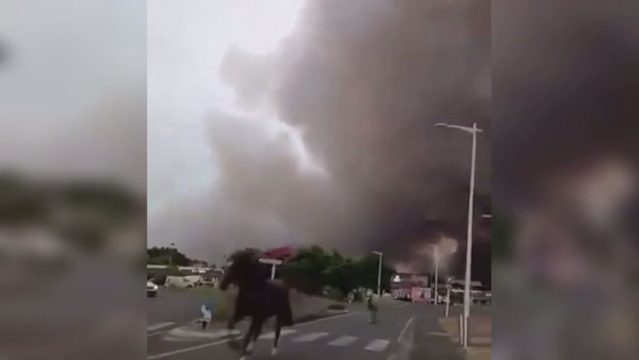 Horses run from thick black smoke as wildfires rage in France