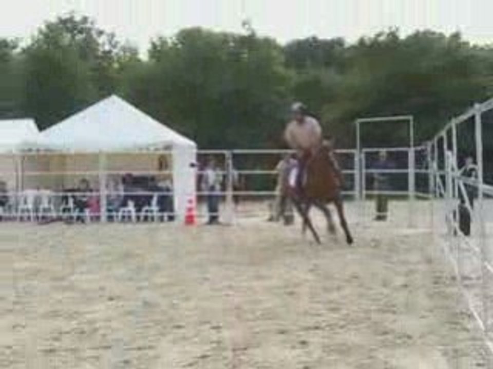 équitation éthologique Andy Booth essai étriers K'VALL