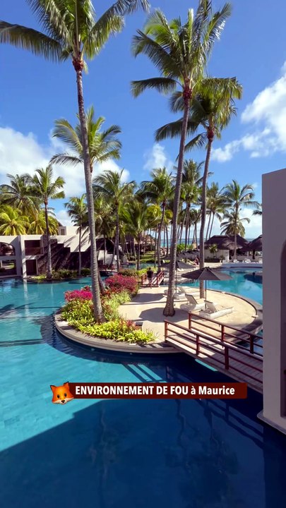 ENVIRONNEMENT DE FOU à Maurice