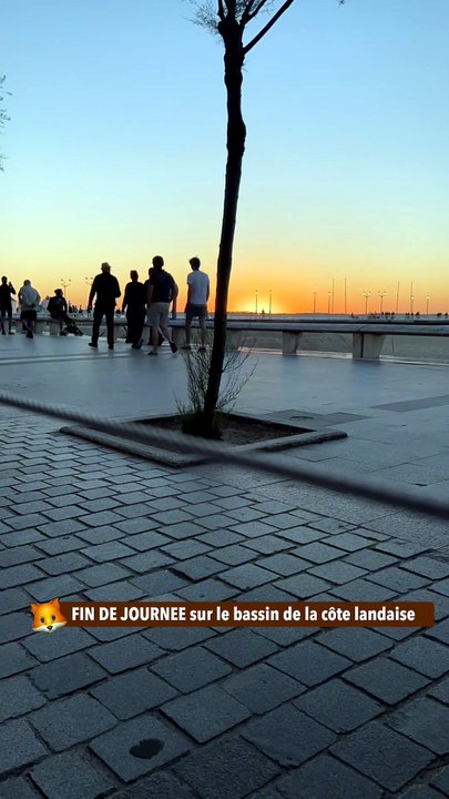 FIN DE JOURNEE sur le bassin de la côte landaise