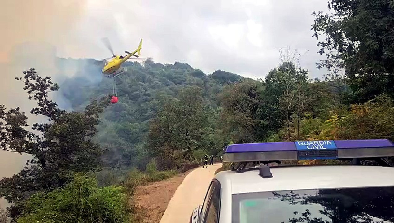 Los bomberos intervienen en un incendio forestal en Baztan