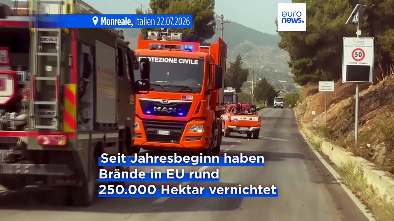 Nachrichten des Tages | 25. Juli 2026 - Mittagsausgabe