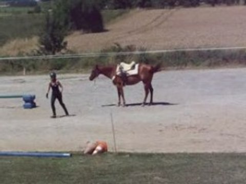PEPPERMINT- Démo- à pied & monté en licol - 29 Juin 08