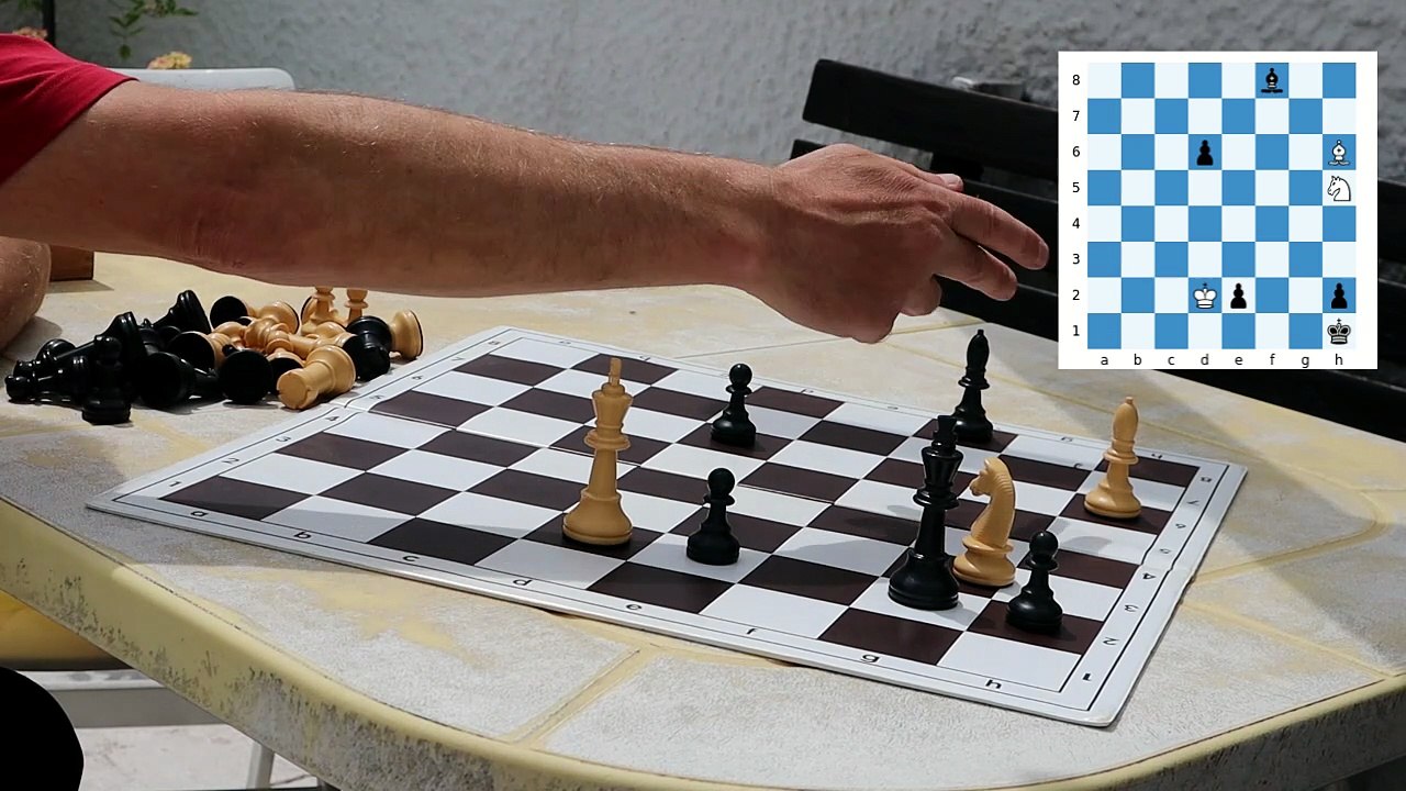 Yehuda Hoch´s wonderful chess study