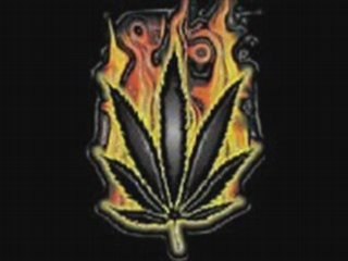 Elephant man - Higher Level version Zouk - remix dj bigga