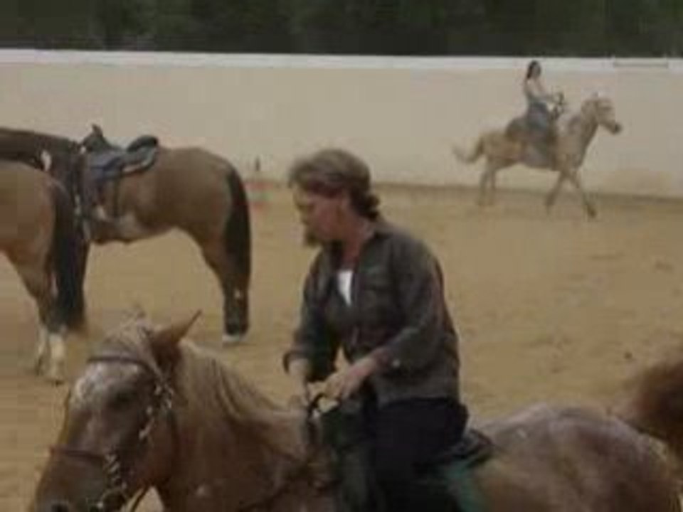 équitation western étrier K'VALL