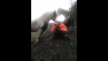 Horse Whisperer