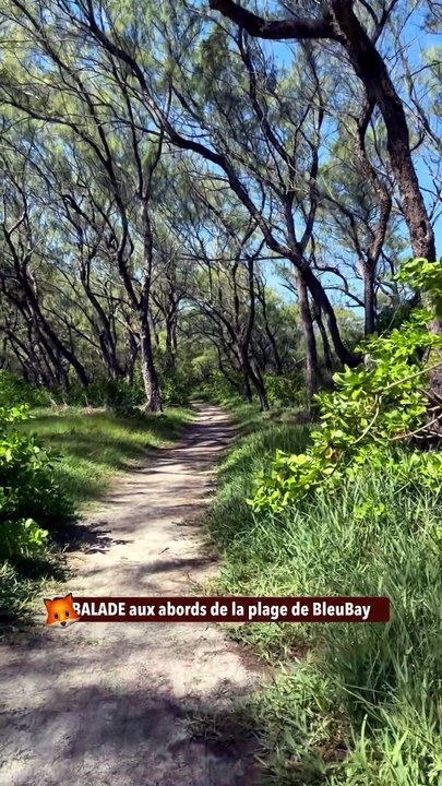 BALADE aux abords de la plage de BleuBay