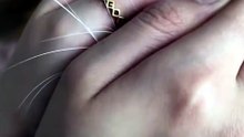 This Cat's Reaction to Gentle Head Scratches Is Too Cute! 😻