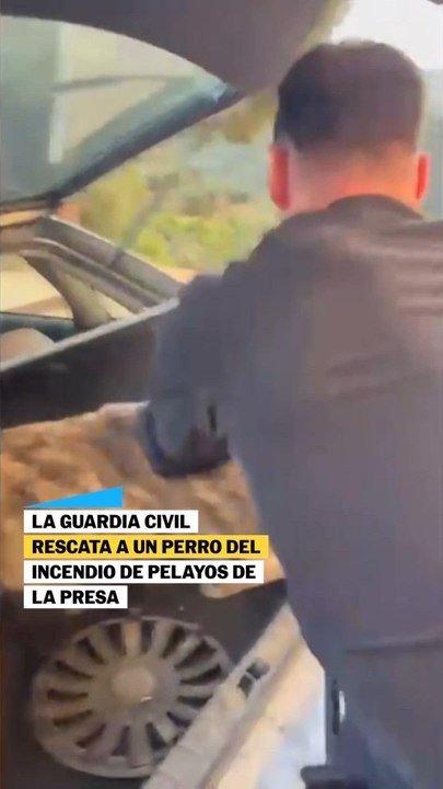 La Guardia Civil rescata a un perro del incendio de Pelayos de la Presa