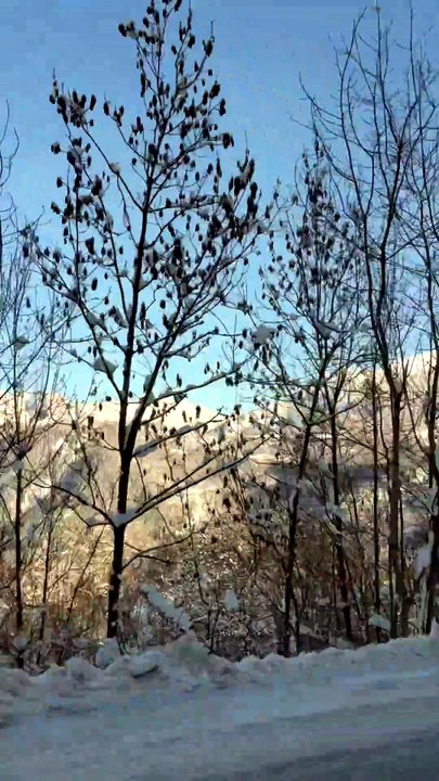 FIN DE JOURNEE sur la cimes des montagnes
