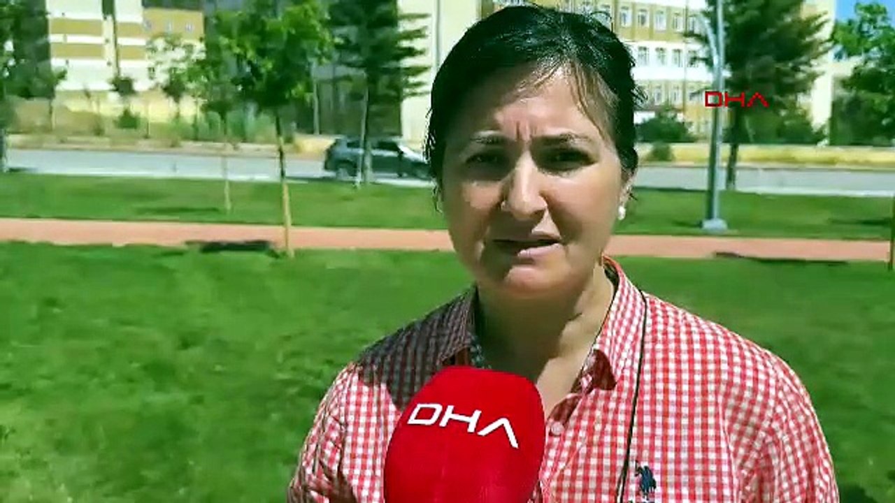 Sivas'ta ortaya çıktılar... Nesli tehlike altındaki canlılar yanyana...