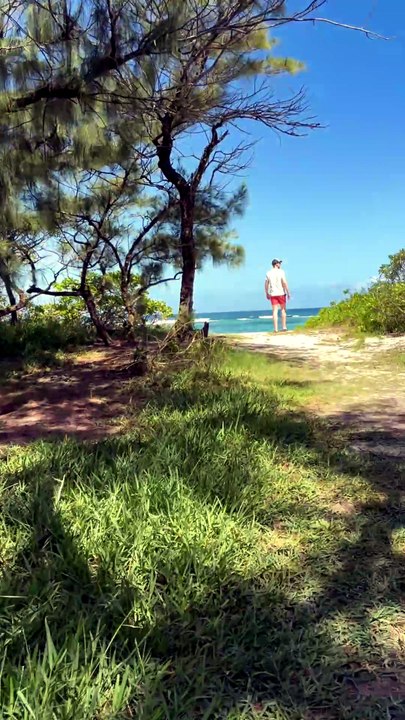 LA BEAUTE de l'arrière des plages à Maurice