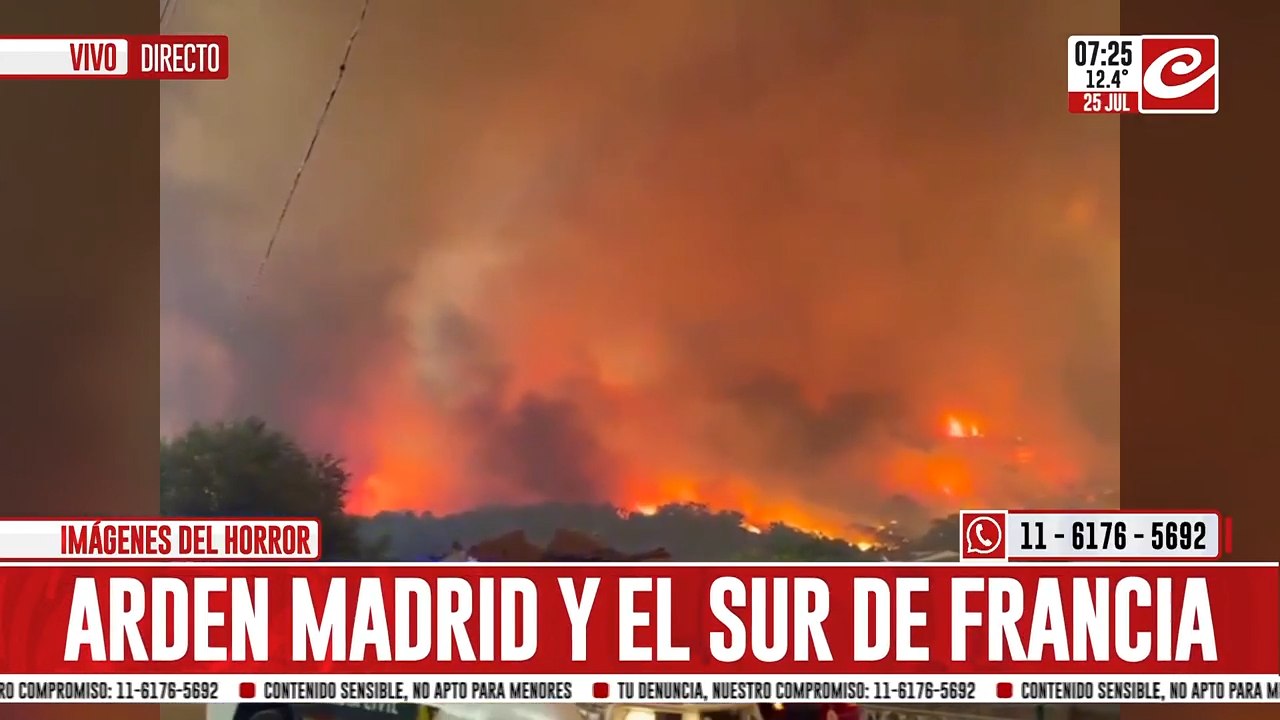 Máxima preocupación por incendios forestales en Francia y Europa