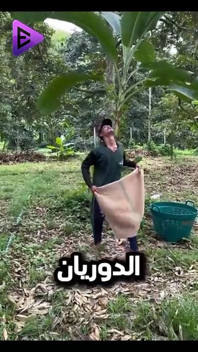 البلاديوم | فن حصاد الدوريان 🤔😱 #elpladum #shark #بحر #اكسبلور #معلومات #facts #البلاديوم  #ترند