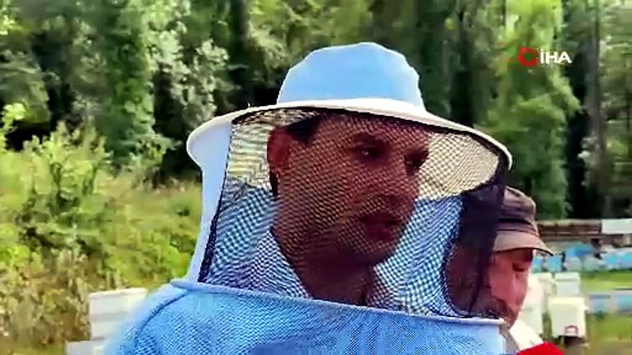 AB tescilli lezzette hasat başladı! 70 derde deva, kilosu 1250 liraya satılıyor