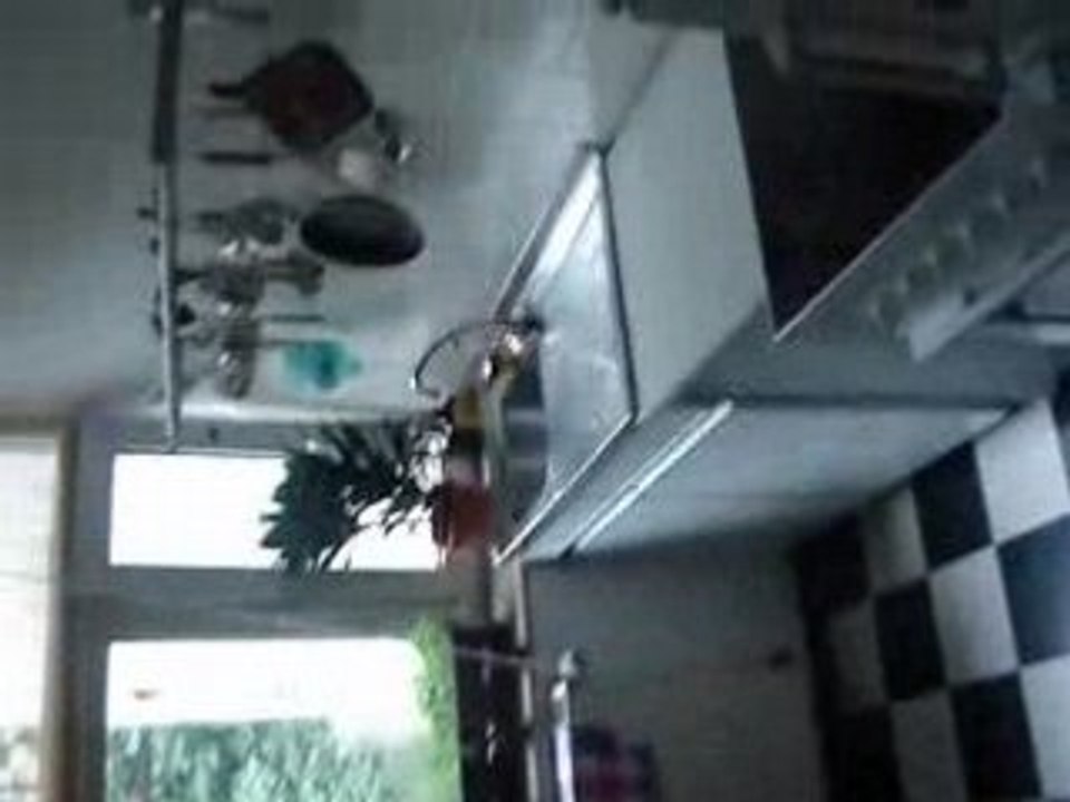 appart kalk