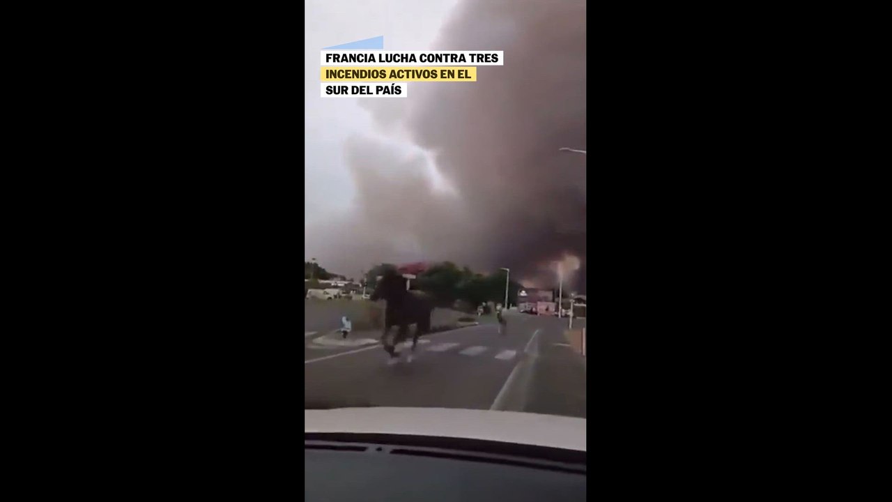 Los caballos huyendo del incendio en Francia
