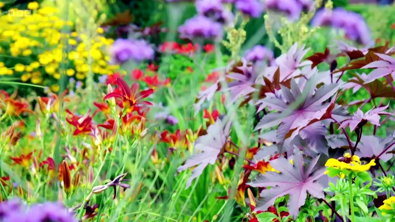 Gardeners' World Season 59 Episode 18