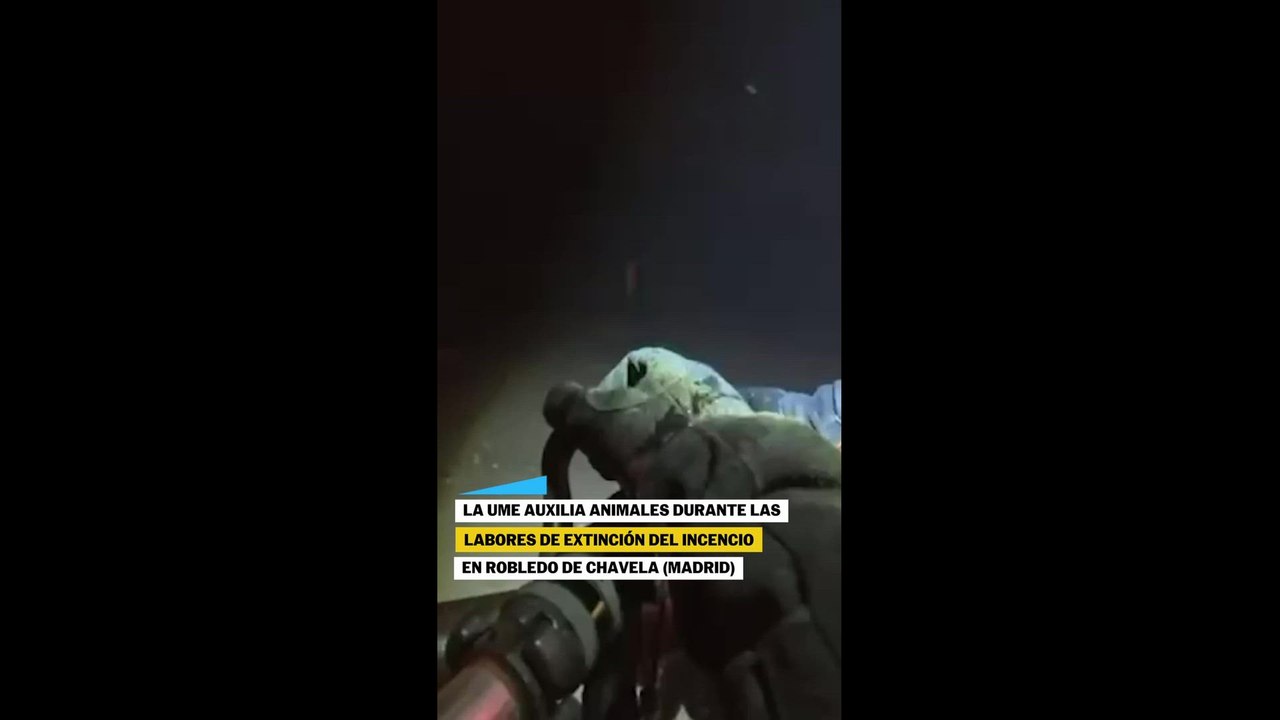 La UME rescata a animales del incendio