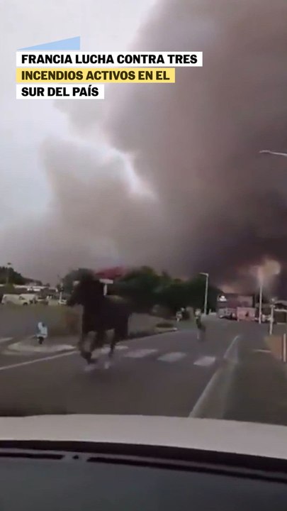 Los caballos huyendo del incendio en Francia