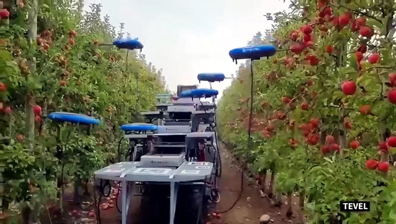 Robôs Estão ACABANDO com o Trabalho no Campo