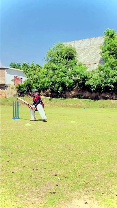 Sharp Timing Cricket Square Cut Shot open net Action #coverdrive #battingpractice #cricket