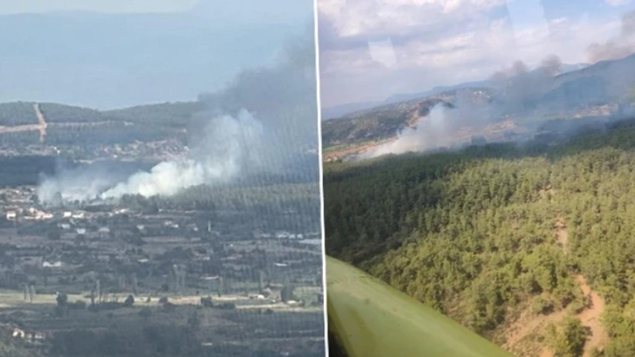 Muğla'da tarım arazisinde çıkan yangın ormana sıçradı