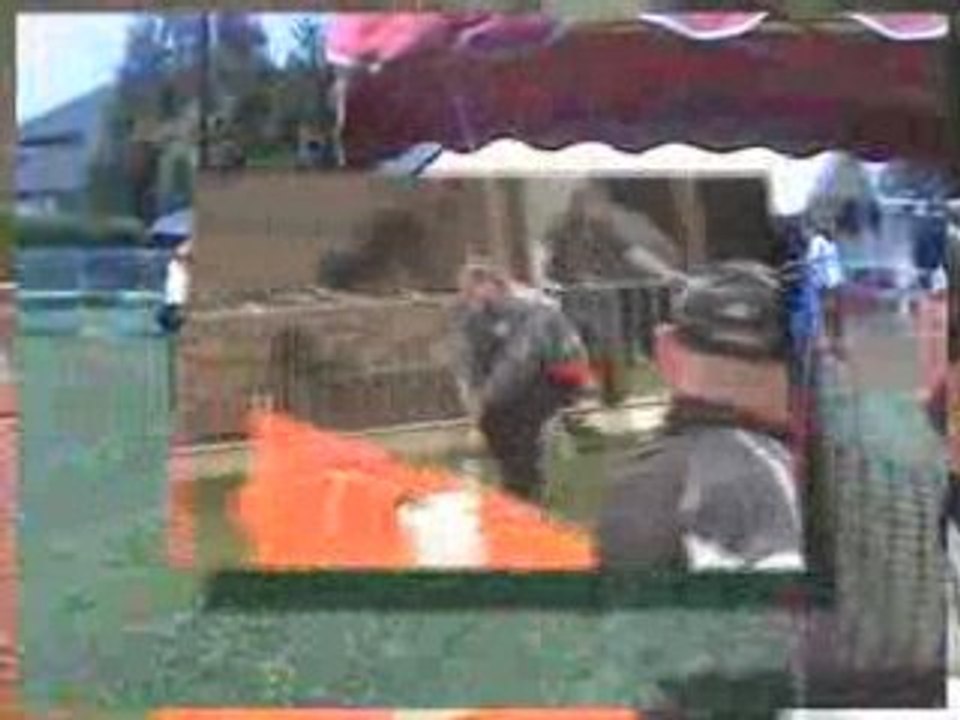 Agility (G.P.F. et Open de Mondelange 2008) Ham-sous-Vasberg