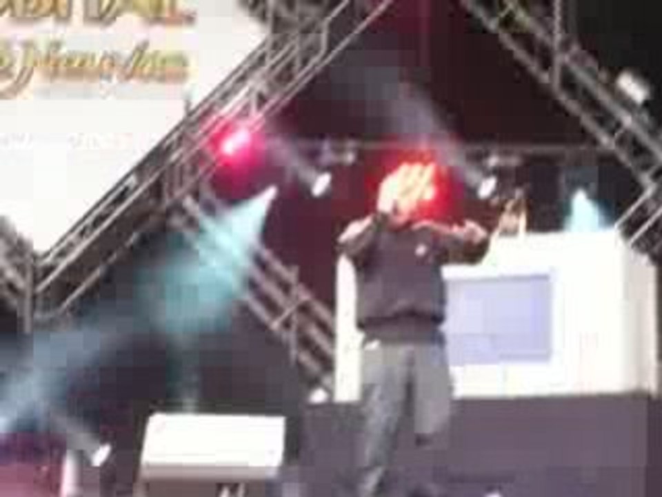 SINIK BOBITAL 2008