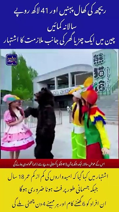 Wear a Bear Costume and Earn Rs. 4.1 Million a Year!