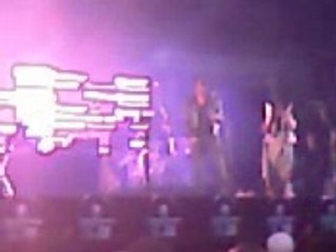 massive attack eurockéenne de belfort 2008