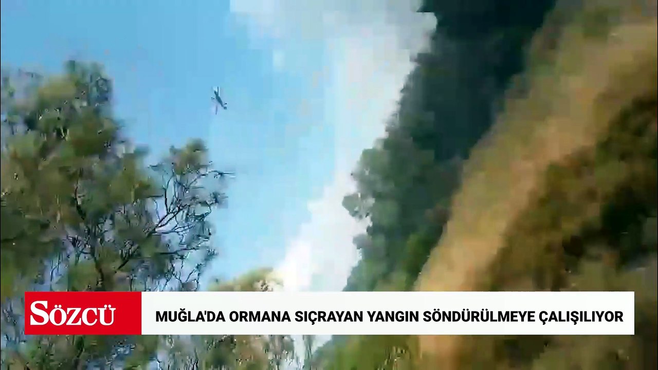 Muğla'da ormana sıçrayan yangın söndürülmeye çalışılıyor