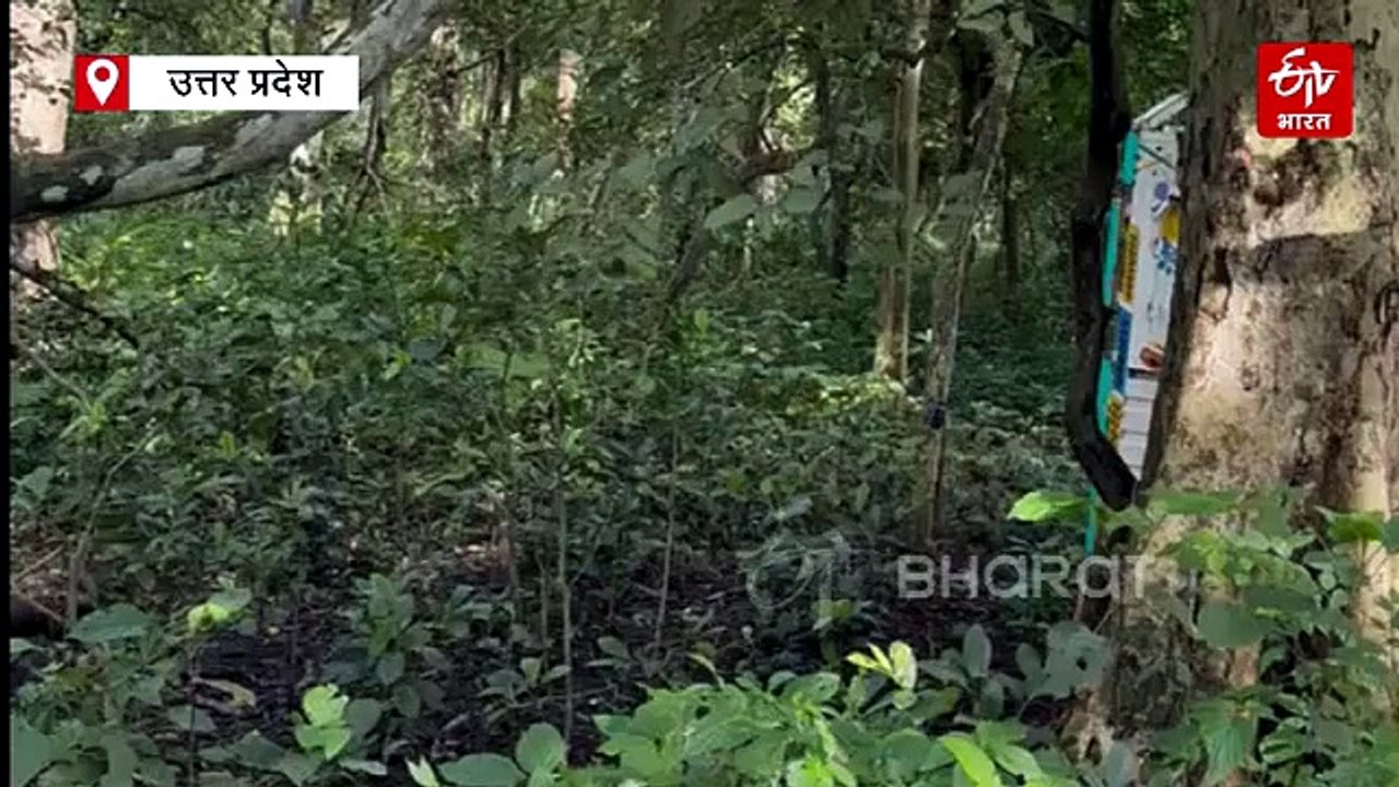 श्रावस्ती:भुसैले में तेंदुए को देख ग्रामीणों मे...