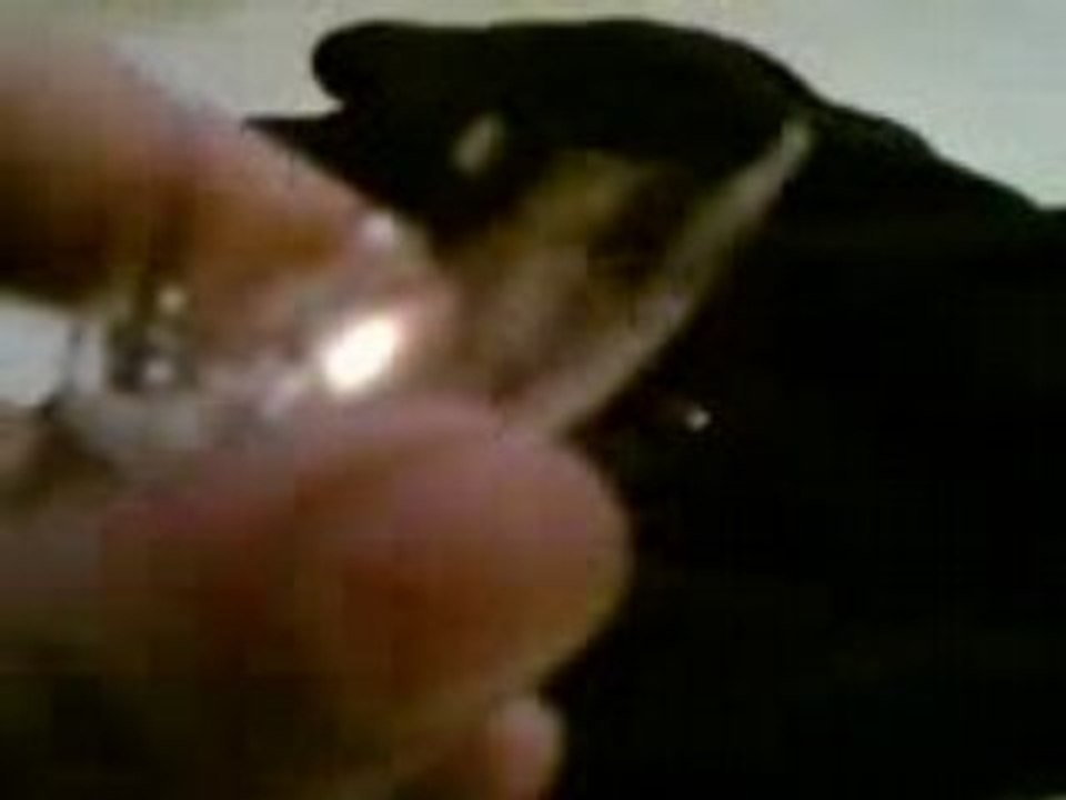 Mini patator transperçage d'ampoule