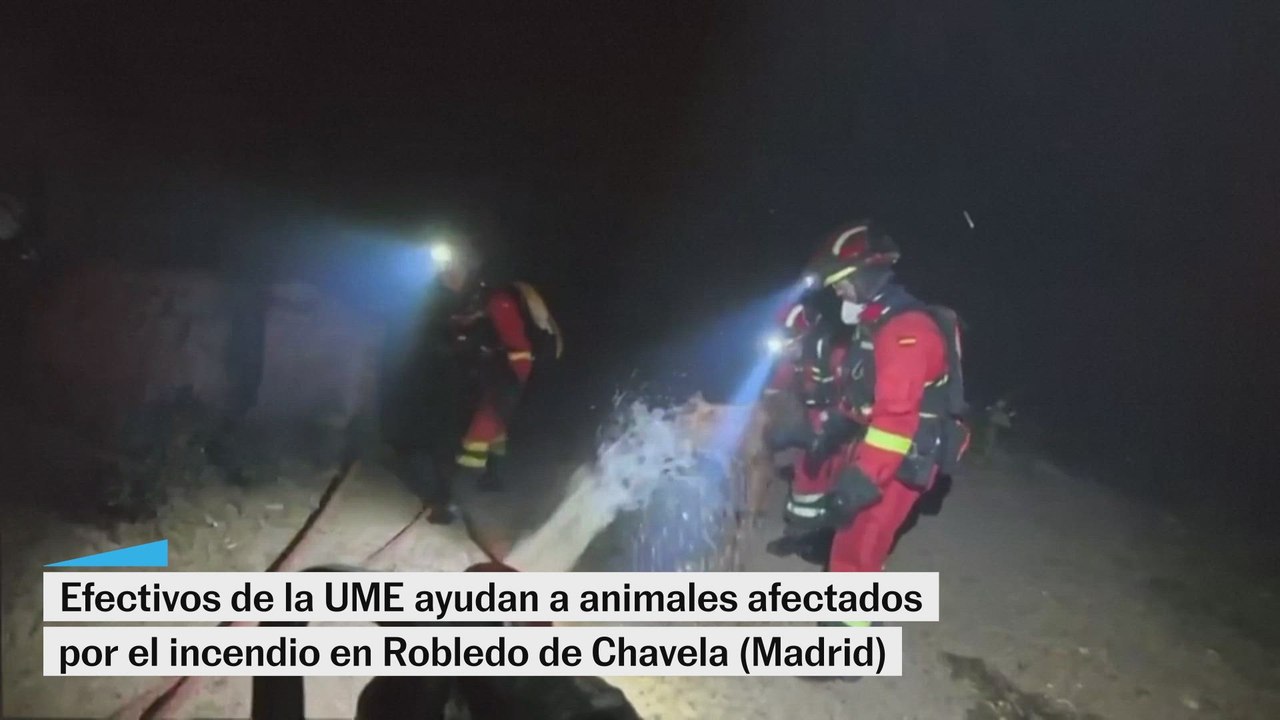 La UME ayuda a animales afectados por el incendio
