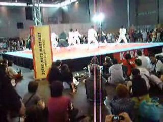 Karaté Artistique 1