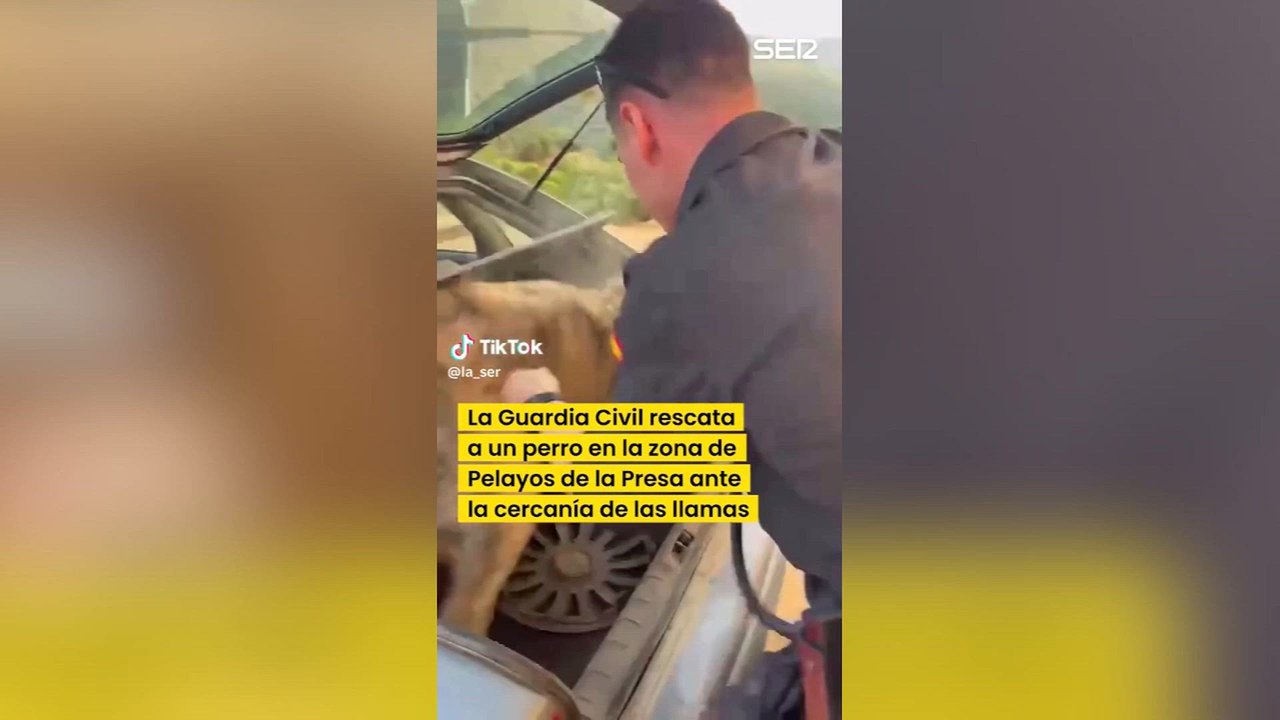 La Guardia Civil rescata un perro en pleno incendio de Pelayos de la Presa