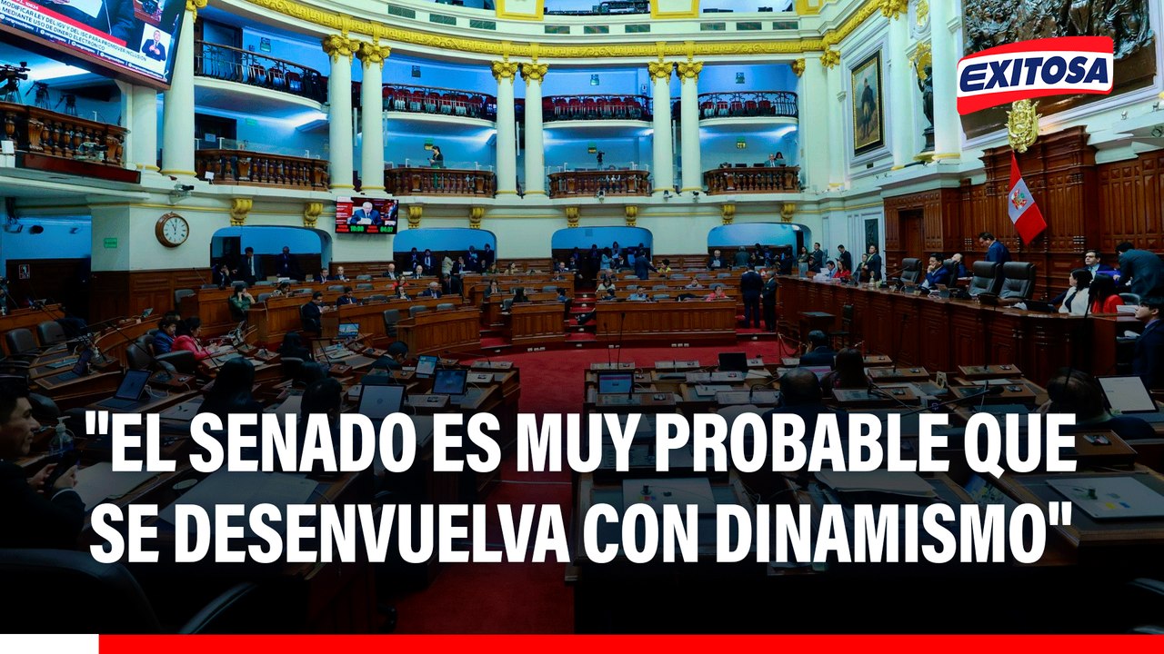 Josef Zielinski: "El Senado es muy probable que se desenvuelva con dinamismo"