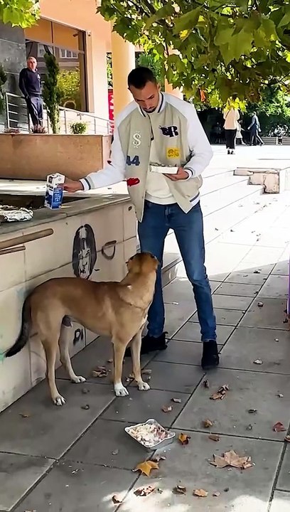 Feeding hearts and tummies, one stray at a time!