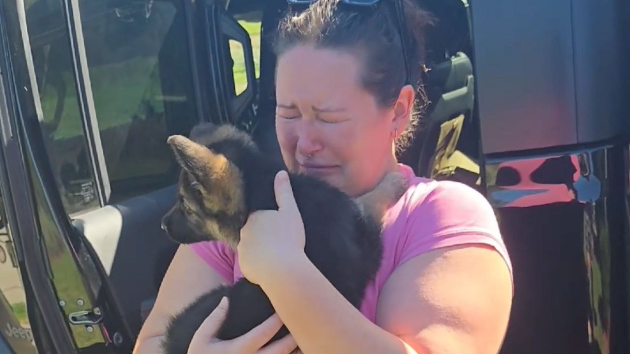 Wife Cries As She Meets A New Puppy At Home