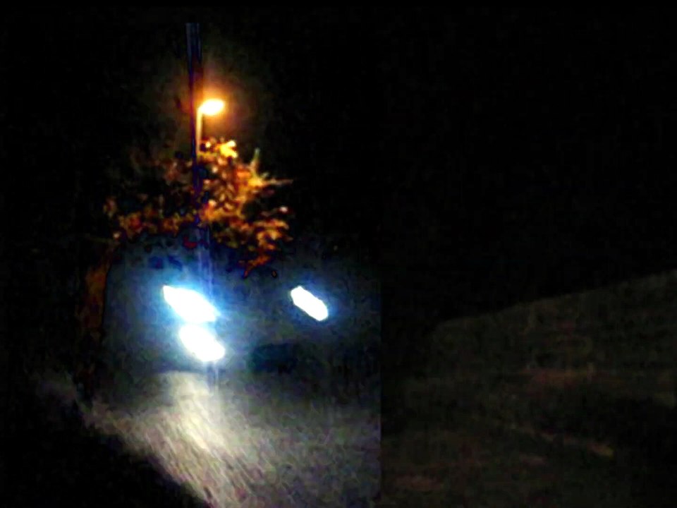 Noema12333 (2025)