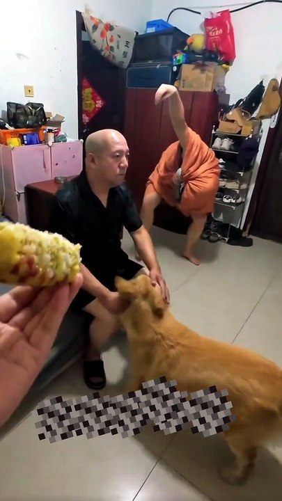 The Ultimate Dog Loyalty Test Gone Wrong!