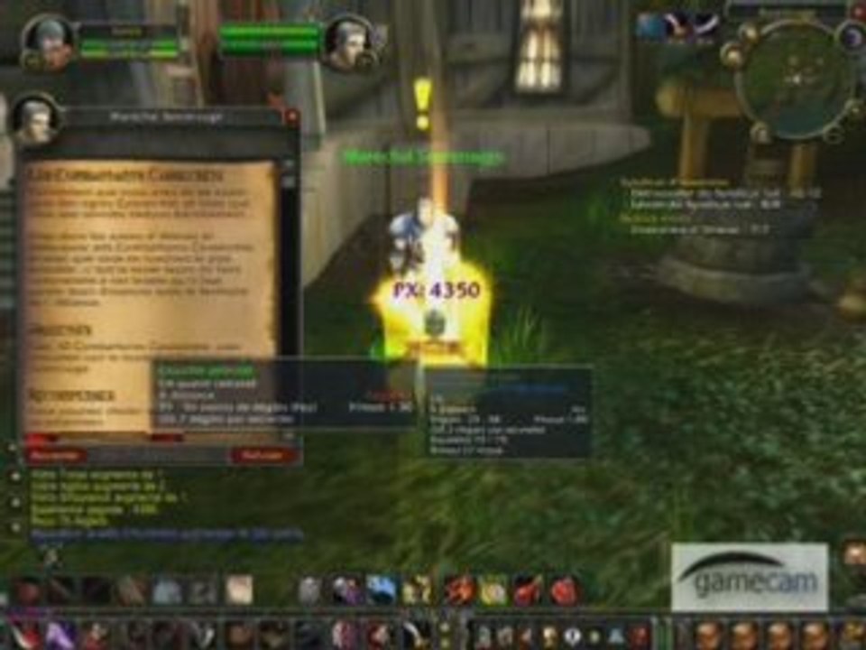 World Of Warcraft Ingame