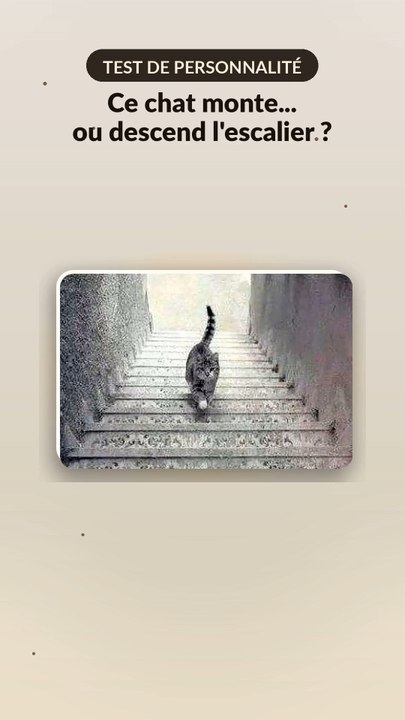 Ce chat monte ou descend l'escalier ? Ta réponse dit tout de toi 🚀🧭