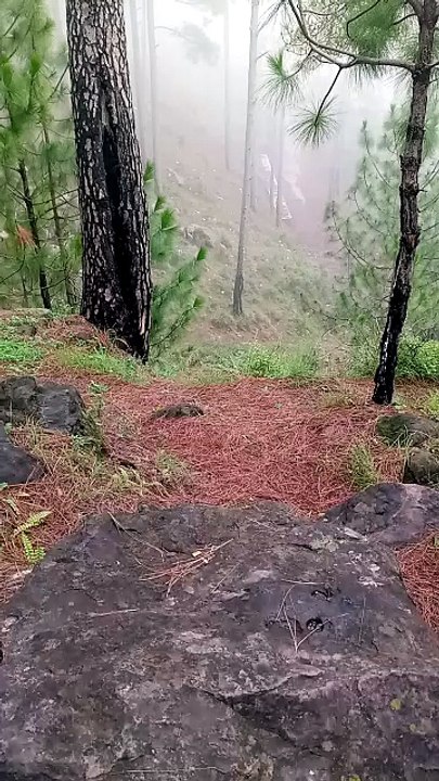 hills view