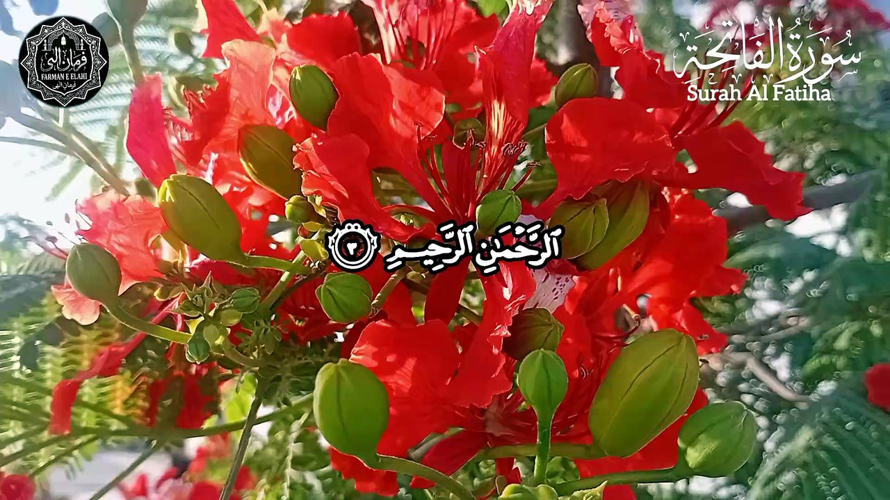Al Quran Islamic videos